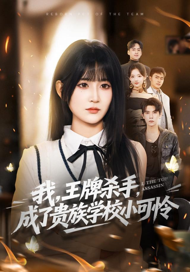 我，王牌杀手，成了贵族学校小可怜（我王牌杀手成了贵族学校小可怜）