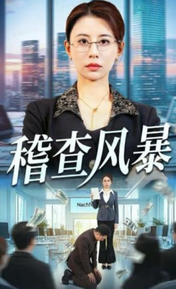 稽查风暴
