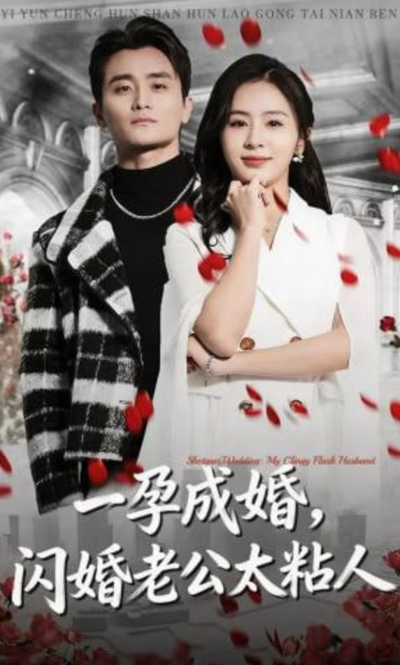 一孕成婚，闪婚老公太粘人