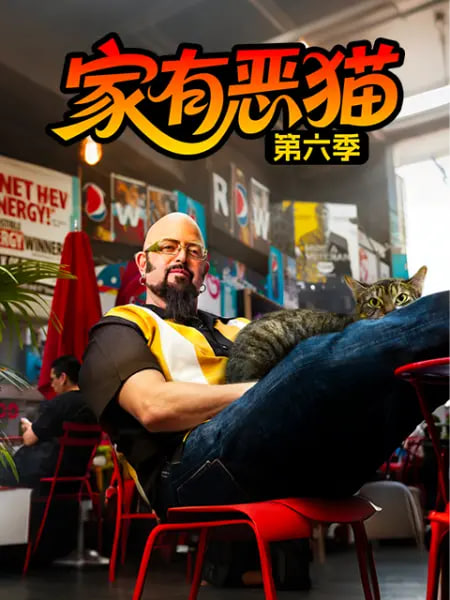 家有恶猫 第六季