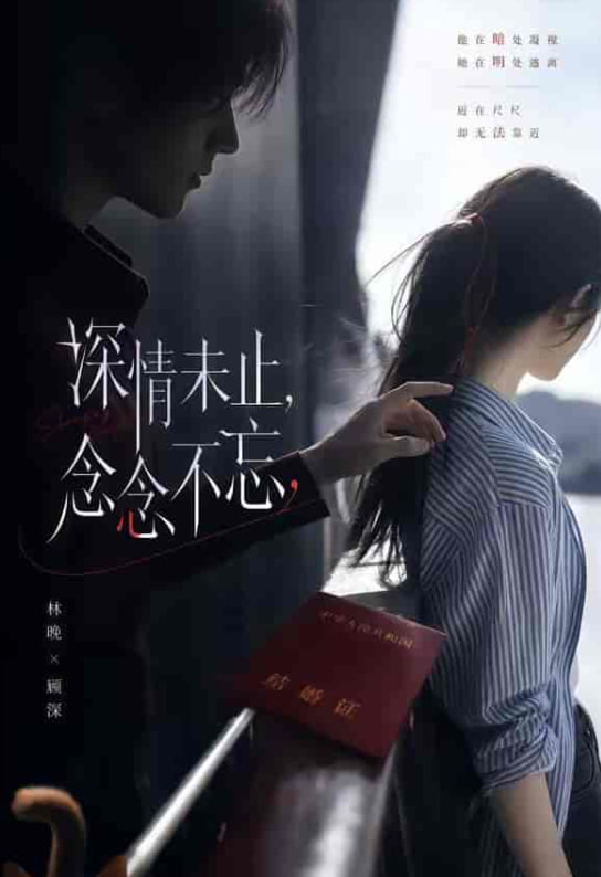深情未止，念念不忘